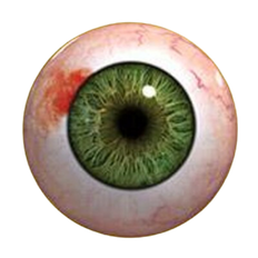 droka